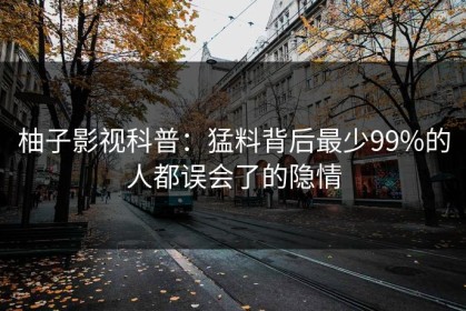 柚子影视科普：猛料背后最少99%的人都误会了的隐情