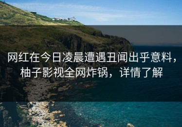 网红在今日凌晨遭遇丑闻出乎意料，柚子影视全网炸锅，详情了解