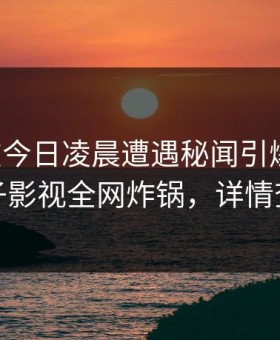 明星在今日凌晨遭遇秘闻引爆全场，柚子影视全网炸锅，详情查看