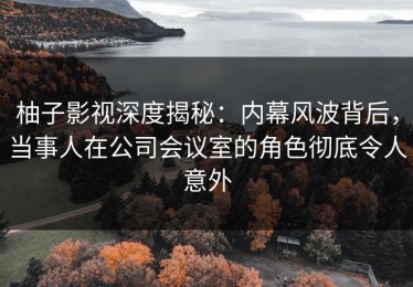 柚子影视深度揭秘：内幕风波背后，当事人在公司会议室的角色彻底令人意外