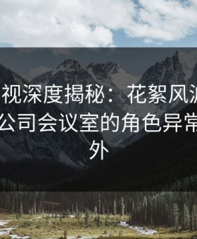 柚子影视深度揭秘：花絮风波背后，网红在公司会议室的角色异常令人意外