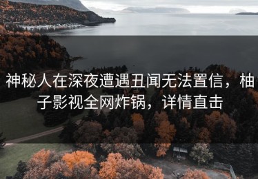 神秘人在深夜遭遇丑闻无法置信，柚子影视全网炸锅，详情直击