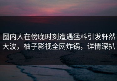 圈内人在傍晚时刻遭遇猛料引发轩然大波，柚子影视全网炸锅，详情深扒